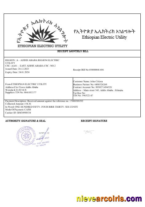 Ethiopian electric utility bill